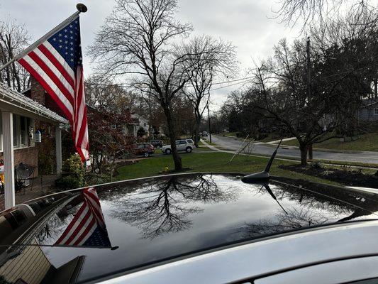 Turtle Fox Detailing