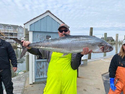 Tuna Duck Sportfishing