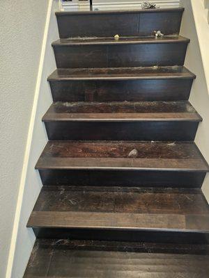 Lorena's House Cleaning Service