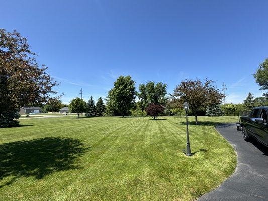 Revival Lawn Care and Landscaping