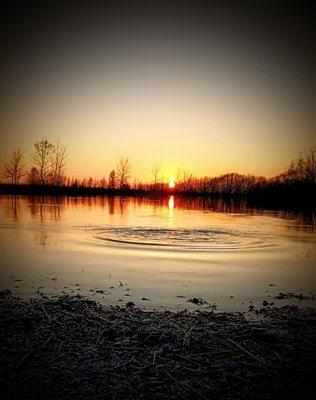 Selfdiagnosed Photography