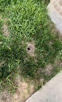 Premier Termite & Pest Control