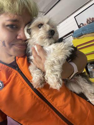 Oodlepaloodles Mobile Dog Spa