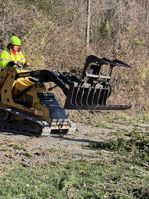 Willys Tree Service and Landscaping