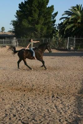 Galloping With Guidance