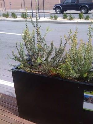 Divisadero Street Parklet