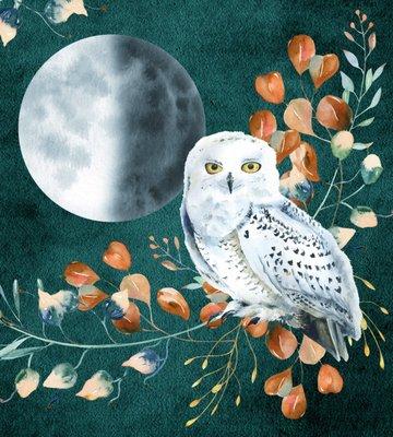 Silver Moon Adornments