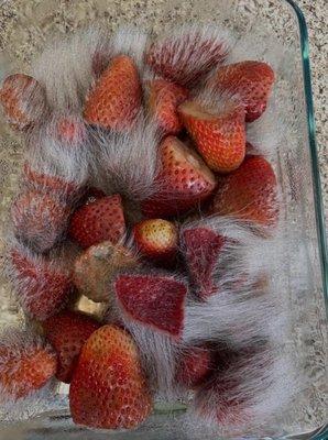 Sylvan Learning of Palm Harbor