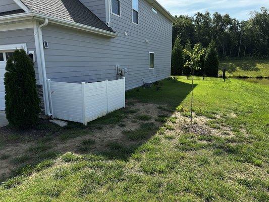 The Wizard Of Sod & More