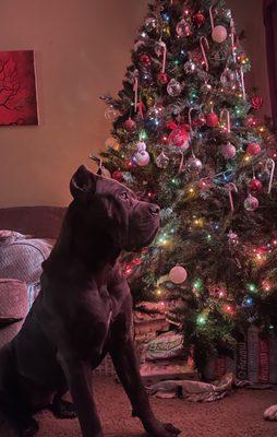 Sherwood Animal Clinic