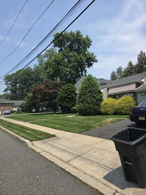 Providence Lawn Service