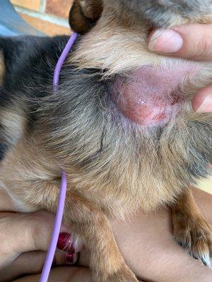 Mars Animal Depot Veterinary Hospital