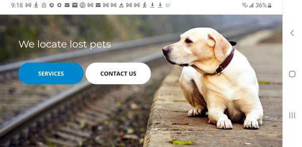 Dog at train station, trying to find his way
home :-(