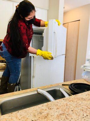 professional cleaner cleaning my apartment for $250. This is the same person this apartment uses regularly