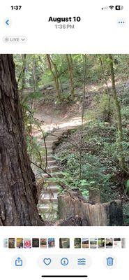 Almost straight downhill!