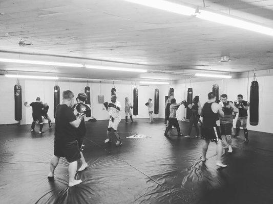 Tinsley Family Martial Arts