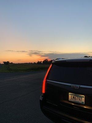 Mr Nice Guy's Limousine Service