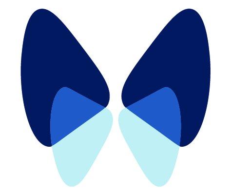 Upstate Lung & Critical Care Specialist