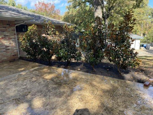 Leo’s Landscape & Tree Service