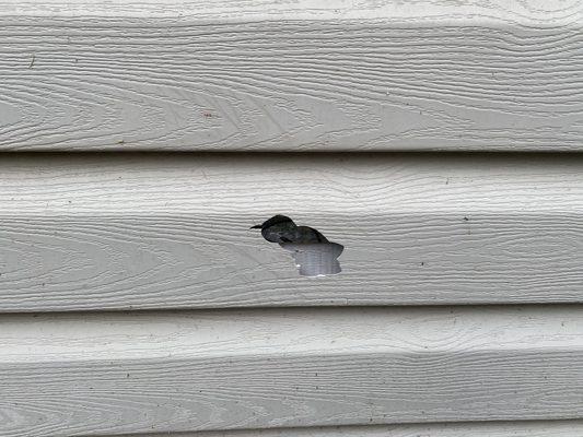 Jams Lawn & Gardening