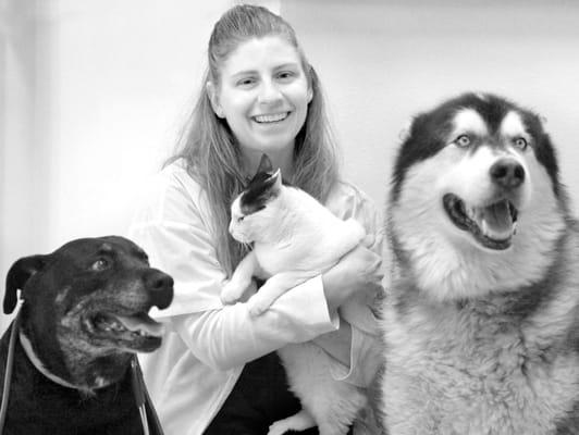 Harbor Veterinary Hospital