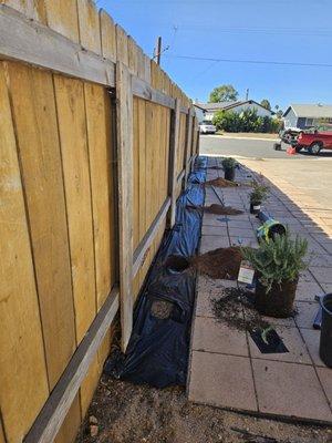 Mendoza 's Landscaping