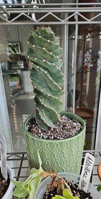 I'm looking for this one a long time. Thanks, Adriana