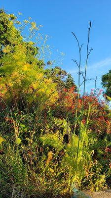 Franklin Square Park
