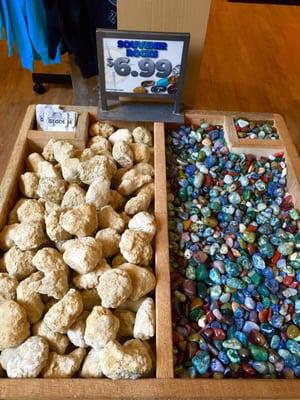 The Wildlife Connection Shop