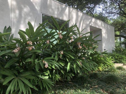 Montrose Mindful Movement