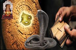 Yana's Psychic Experience