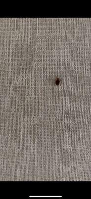 Chateau Resort & Conference Center