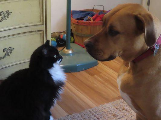 Biscuits and "the Beav". Best pals.