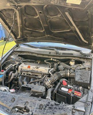 Tokyo Auto Detailing