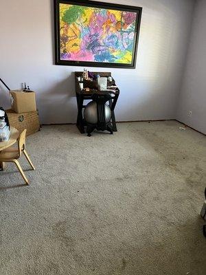 Kia The House Cleaner