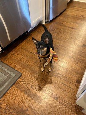 Another happy bath day