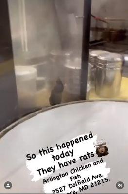 Arlington Chicken and Fish