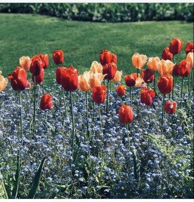 Free pregnancy test,parenting classes, limited ultrasound.