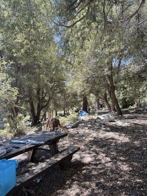 Picnic table and tent