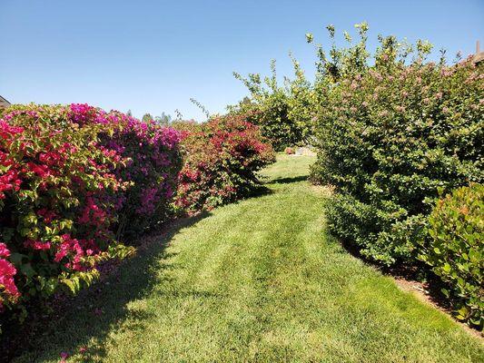 Leisure Village Association Ofc