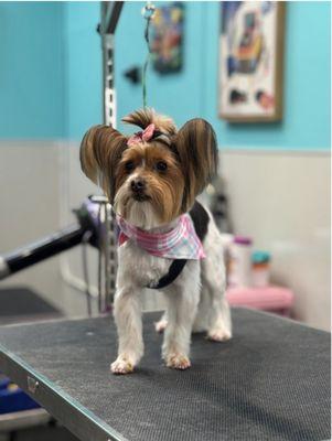 The Pawlor Salon & Spa