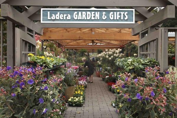 Ladera Garden & Gifts
