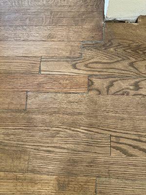 International Carpets