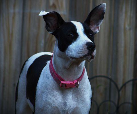 Riley’s Photography