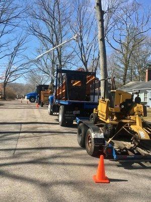 Green View Tree Service