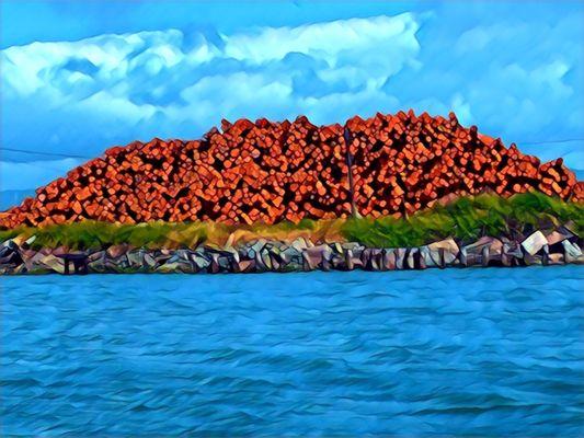 Timber on the bay