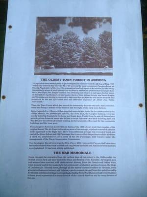 Newington Town Forest