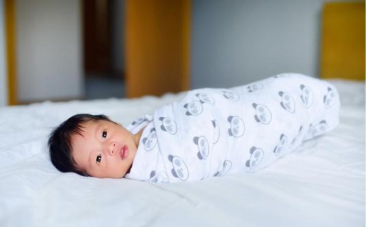 Gooch Too Photography