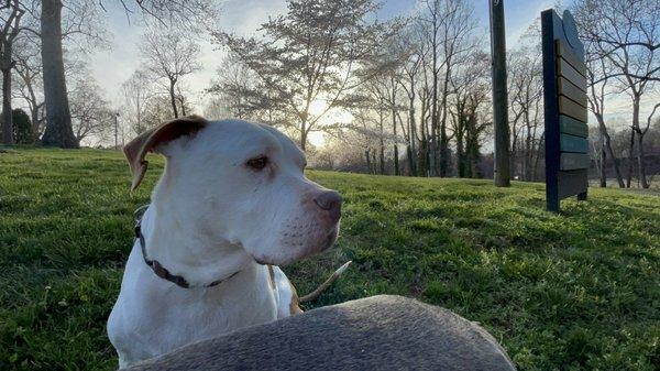 Union Cross Animal Hospital