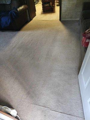 Quality Carpet Maintenance